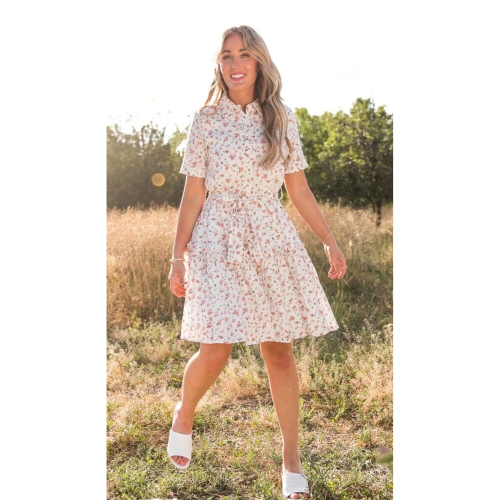 Ivy City Co. Lola Dress Size M | NWOT Mint Condition With Matching Belt